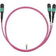 MPO Cables
