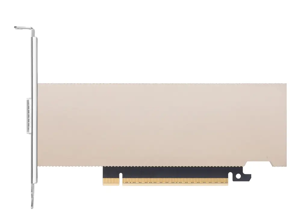 NVIDIA NICs