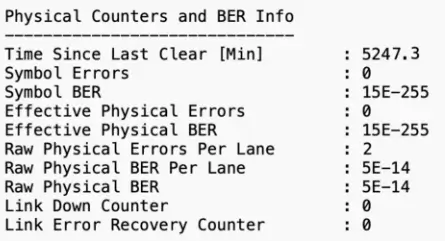 Terminal-style BER counter output showing symbol errors, raw physical BER per lane, and link error counters.