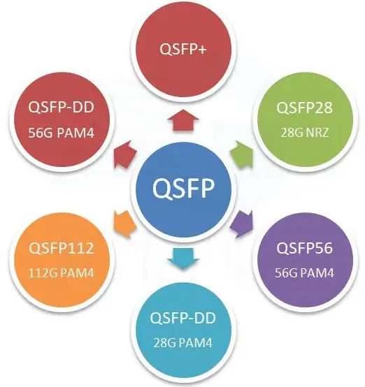 Circular QSFP family diagram with QSFP at the center and labeled variants including QSFP+, QSFP28, QSFP56, QSFP112, and QSFP-DD.