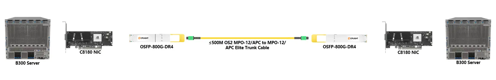 Optical connection diagram linking dual B300 servers and C8180 NICs via OSFP-800G DR4 modules