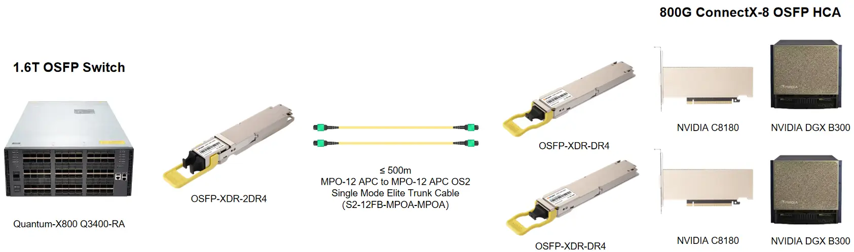 800G InfiniBand XDR server-to-leaf link between a B300 GPU server and a Quantum-X800 leaf switch