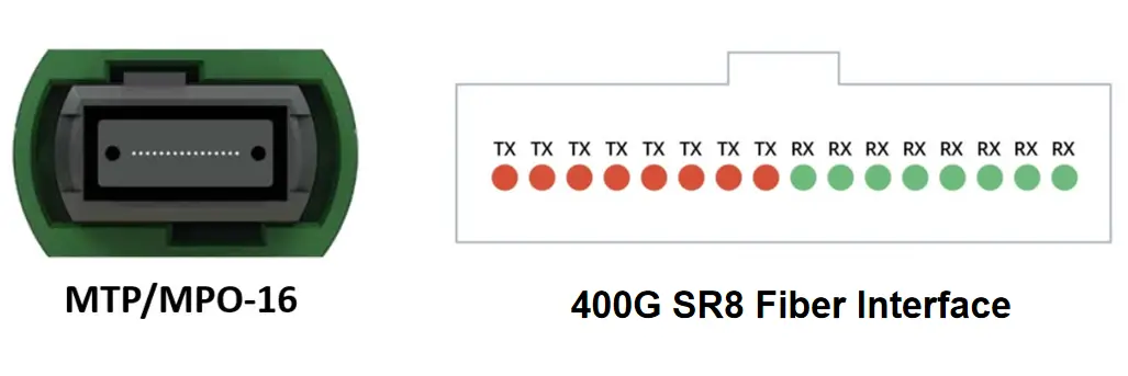 MTP MPO-16 interface for 400G SR8 showing eight transmit and eight receive fiber channels
