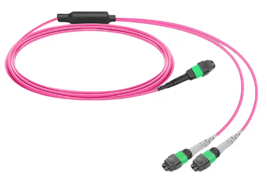 MTP MPO breakout fiber cable with one connector splitting into two fiber connectors
