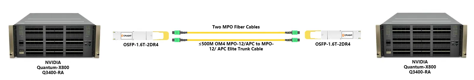 Network connection diagram between two NVIDIA Quantum-X800 switches using OSFP 1.6T transceivers