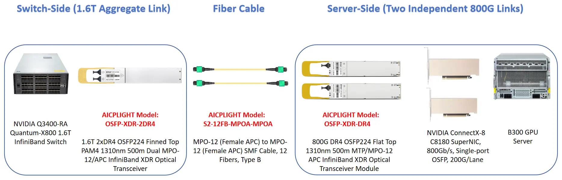 Diagram of a 1.6T switch-side InfiniBand link connected to two independent 800G server links via fiber cable and optical transceivers